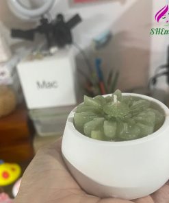 Tượng Thạch Cao Hình Nấm – Bộ Tượng Tô Màu Sáng Tạo Cho Bé