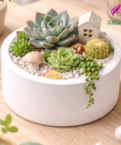 Hũ Decor Thạch Cao Mini Làm Phụ Kiện Trang Trí dung nen