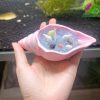 Nen vo so shemart candlenen vo oc lap lanh mui huong thom ngot lam qua tang trang tri decor mau hong