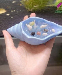 Nen vo so shemart candlenen vo oc lap lanh mui huong thom ngot lam qua tang trang tri decor mau xanh duong