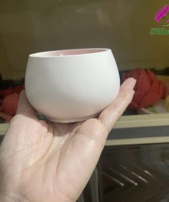 coc nen thom hoa bach nhat