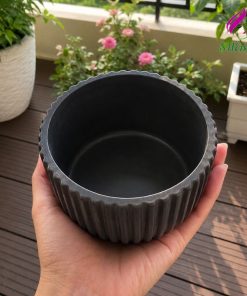 CHẬU MÉO MINI BẰNG XI MĂNG TRỘN ĐÁ – CHẬU SEN ĐÁ, XƯƠNG RỒNG DECOR SIÊU XINHCHẬU MÉO MINI BẰNG XI MĂNG TRỘN ĐÁ – CHẬU SEN ĐÁ, XƯƠNG RỒNG DECOR SIÊU XINH