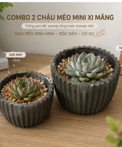 COMBO 2 CHẬU MÉO lon va nho MINI BẰNG XI MĂNG