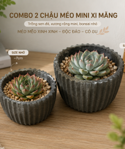 COMBO 2 CHẬU MÉO lon va nho MINI BẰNG XI MĂNG