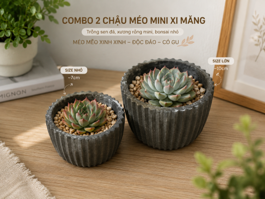 COMBO 2 CHẬU MÉO lon va nho MINI BẰNG XI MĂNG